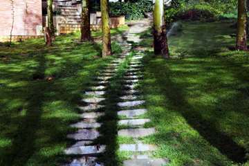 بهار در قاب دانشگاه علوم بهزیستی و توانبخشی